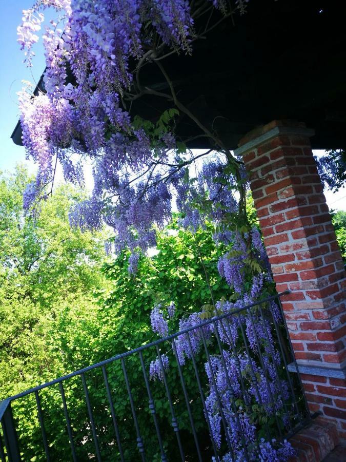 Double Room Garden View
