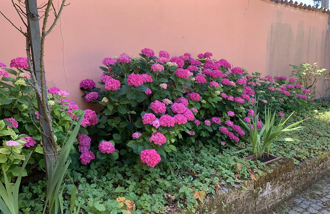 La Casa Celeste B&B-1